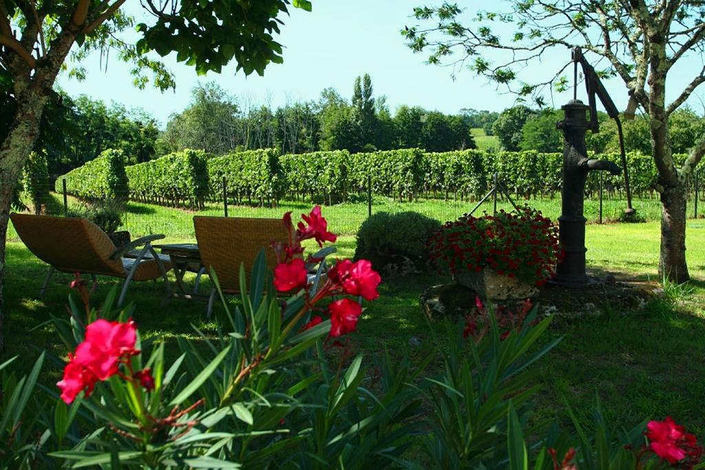 Bleu Raisin Bed and Breakfast Les Salles-de-Castillon Εξωτερικό φωτογραφία