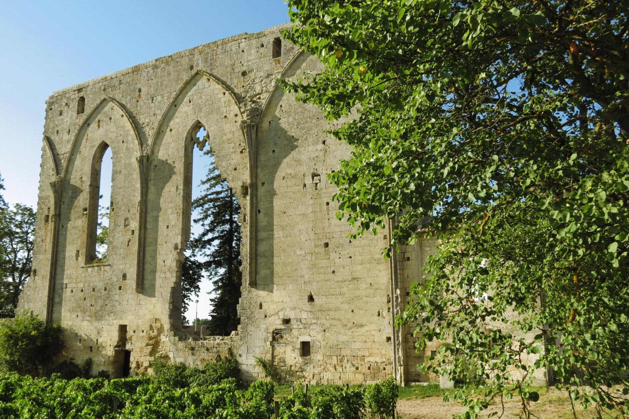 Bleu Raisin Bed and Breakfast Les Salles-de-Castillon Εξωτερικό φωτογραφία
