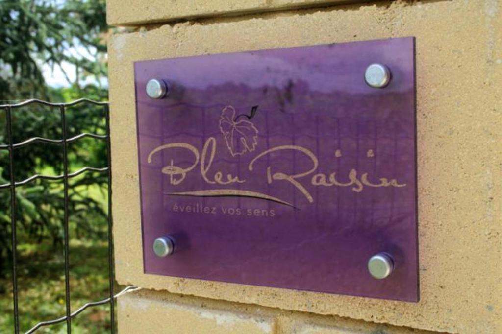 Bleu Raisin Bed and Breakfast Les Salles-de-Castillon Εξωτερικό φωτογραφία