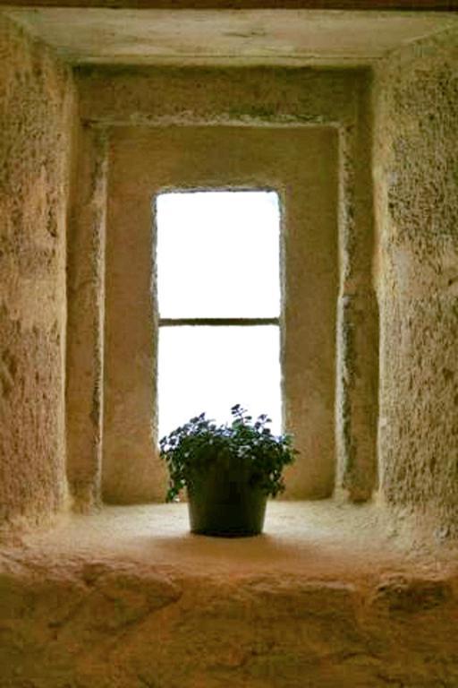 Bleu Raisin Bed and Breakfast Les Salles-de-Castillon Δωμάτιο φωτογραφία