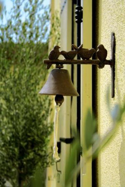 Bleu Raisin Bed and Breakfast Les Salles-de-Castillon Εξωτερικό φωτογραφία